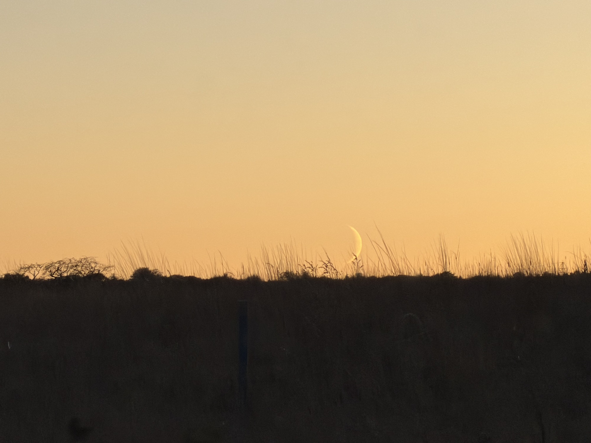 When The Moon Returned