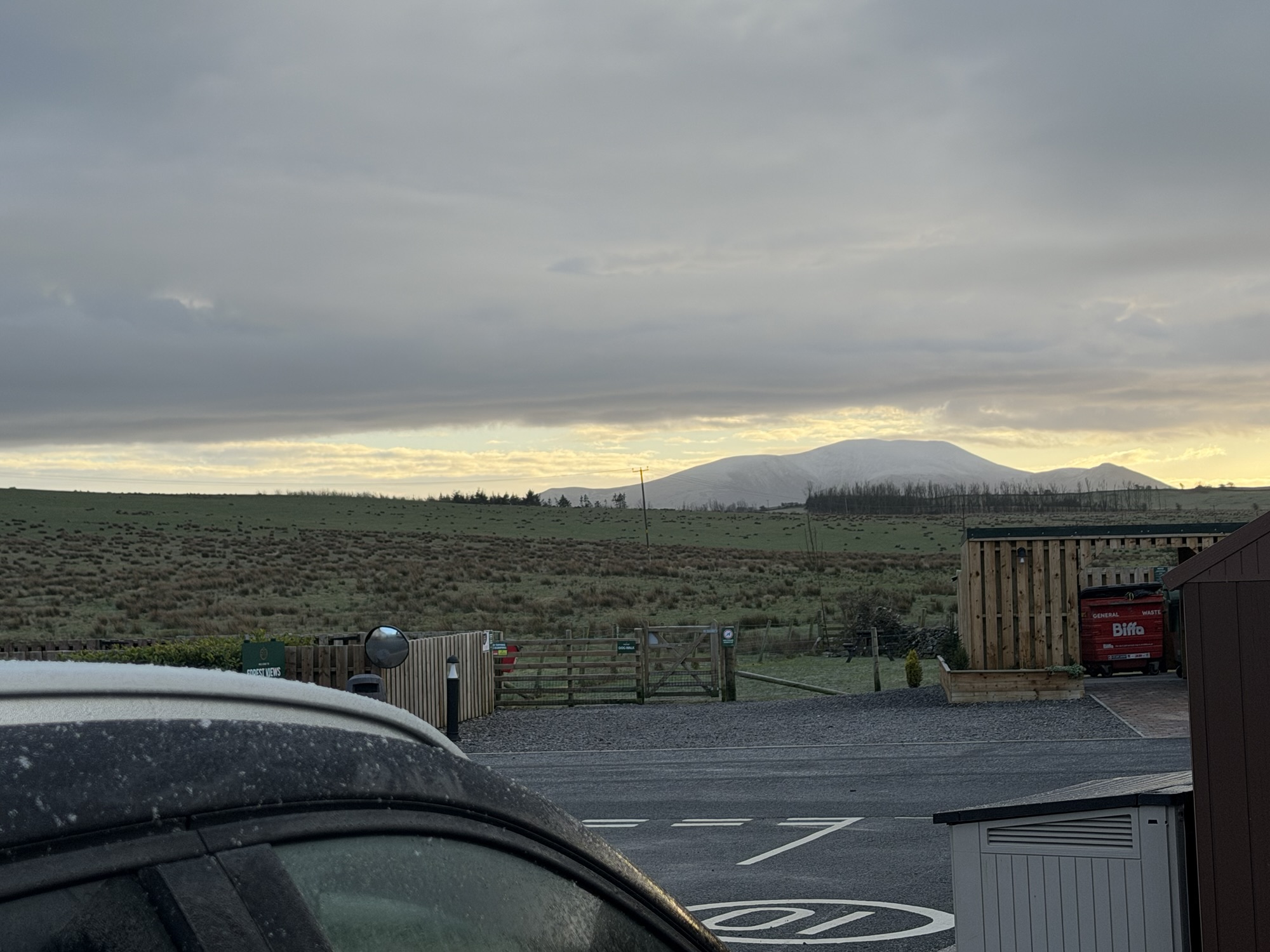 Living With A Body That Learned Too Much: This Is Not Just Anxiety