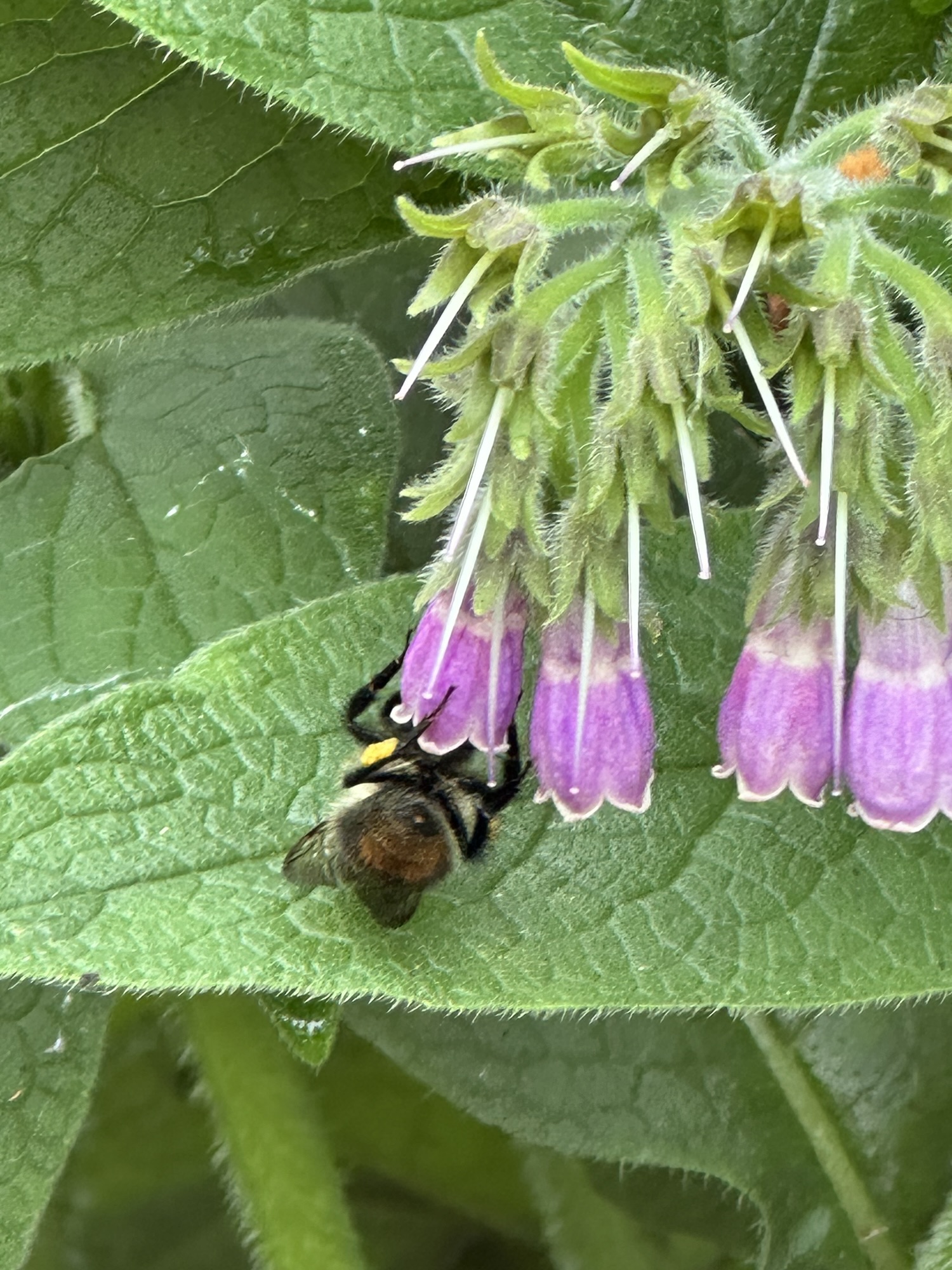 Survival Is Still Worthy Of Being Seen