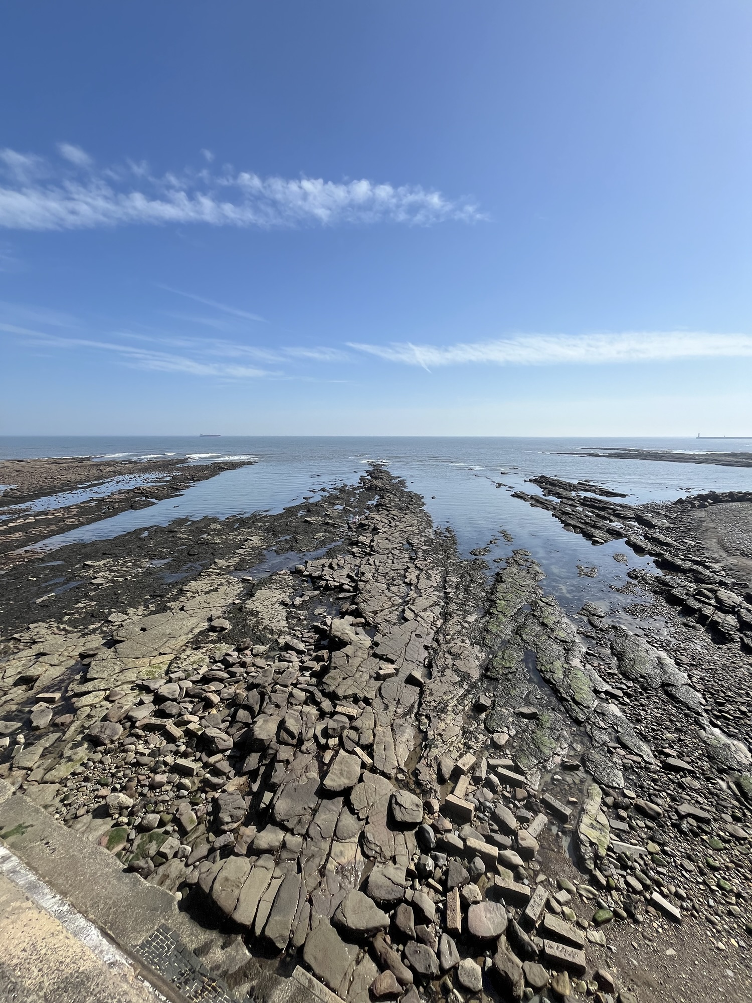 You Can Just See The Love